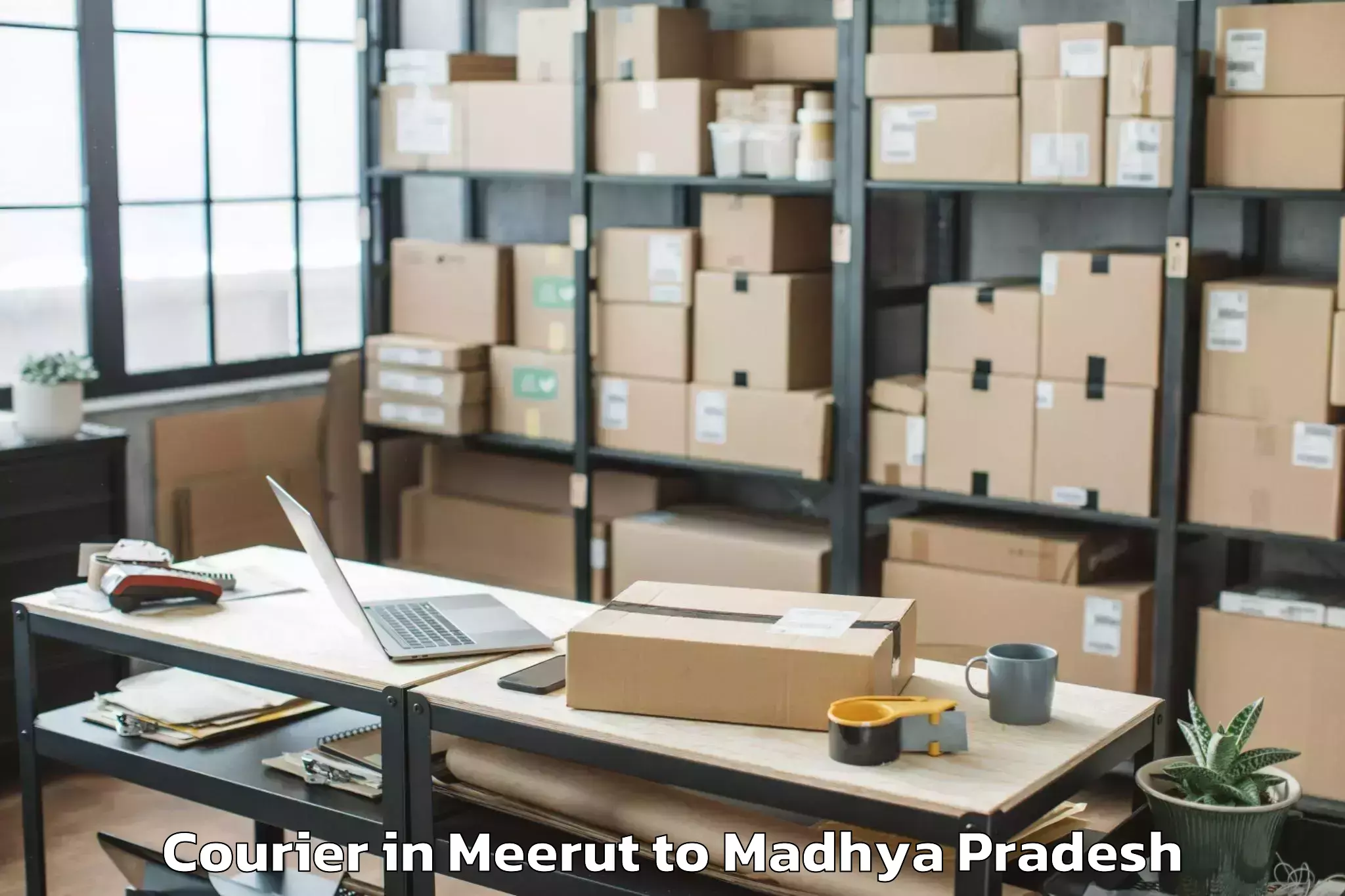 Book Meerut to Thikri Courier Online